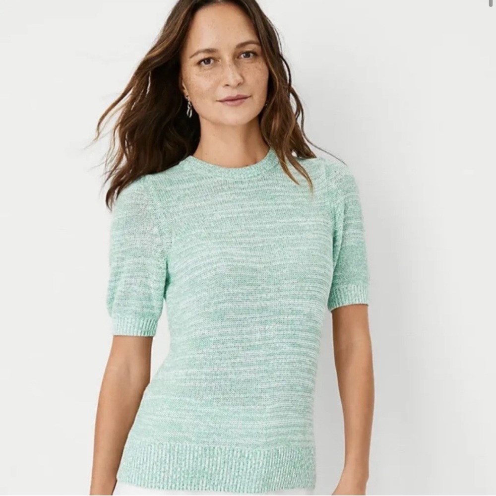 NWT Ann Taylor Tweedy Sweater Tee - Size Small